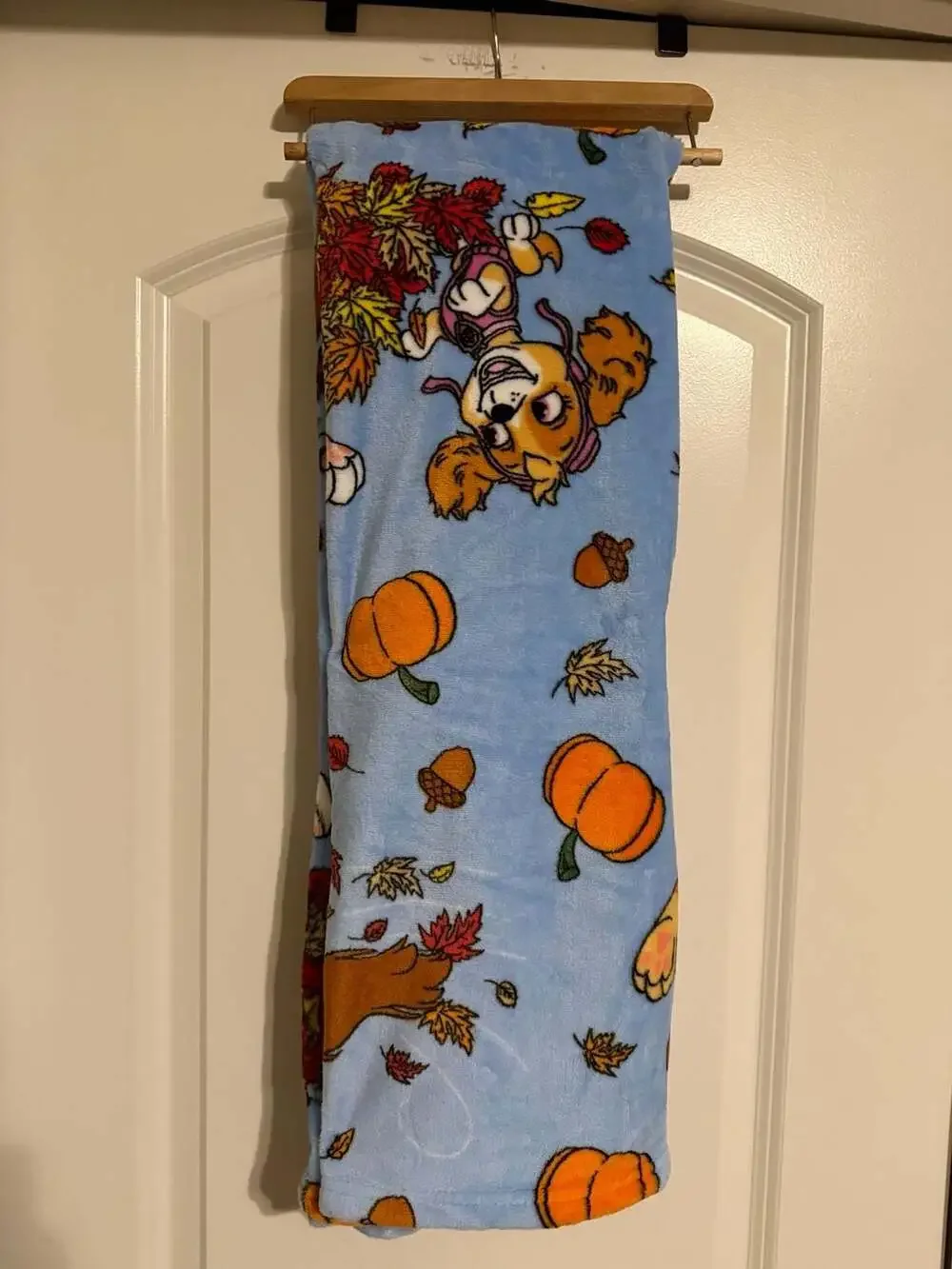 Paw Patrol Fall Frenzy Silk Touch Throw Blanket 40in x 50in